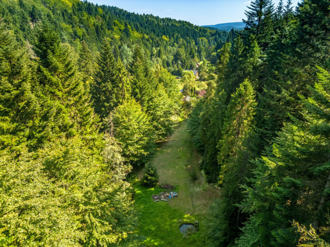 Działka Sprzedaż Targoszów 1