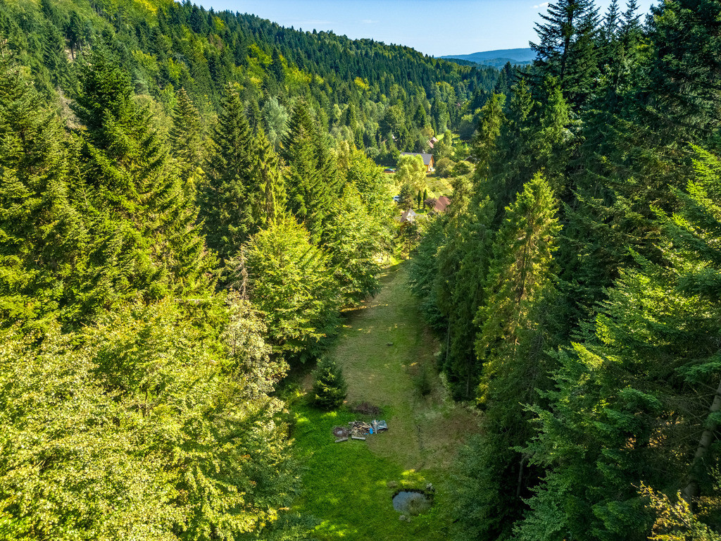 Działka Sprzedaż Targoszów