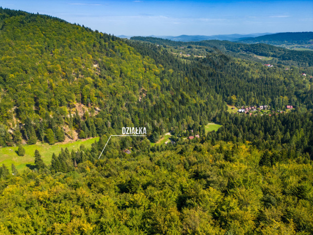 Działka Sprzedaż Targoszów 2