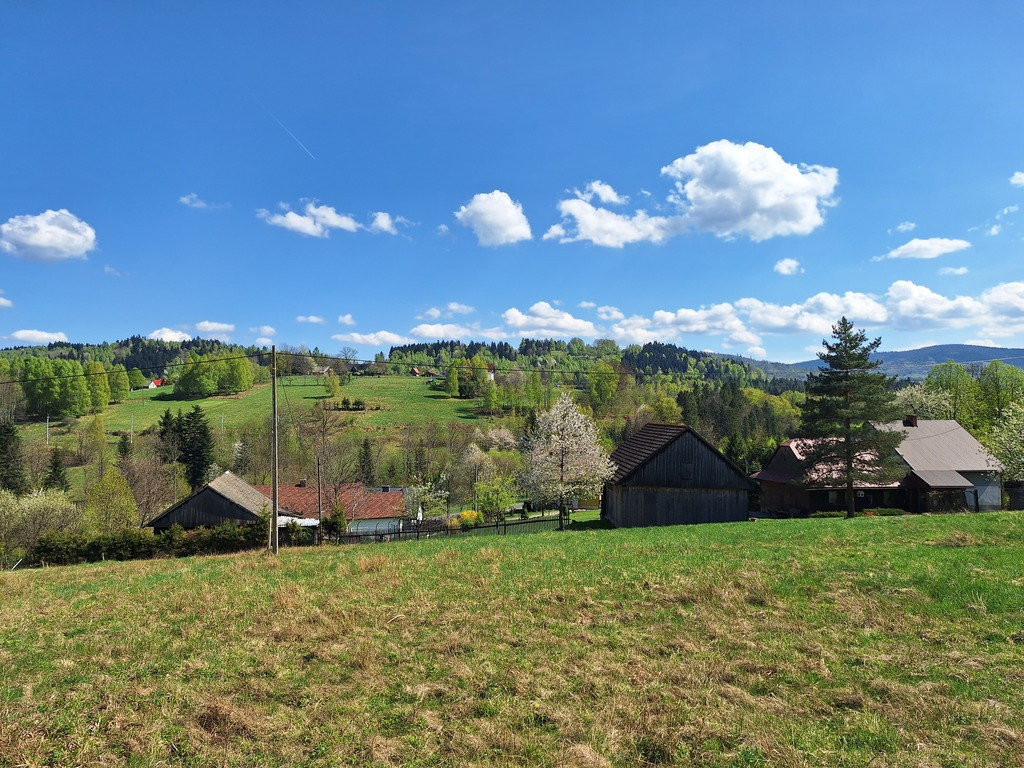 Działka Sprzedaż Kurów
