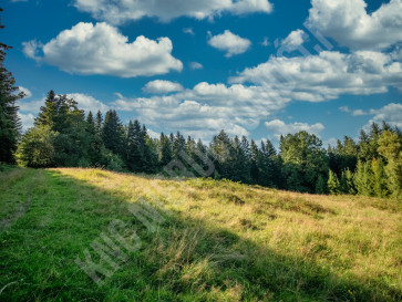 Działka Sprzedaż Lachowice