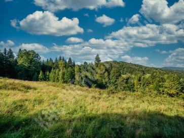 Działka Sprzedaż Lachowice