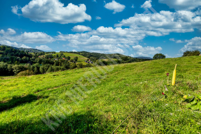 Działka Sprzedaż Jordanów