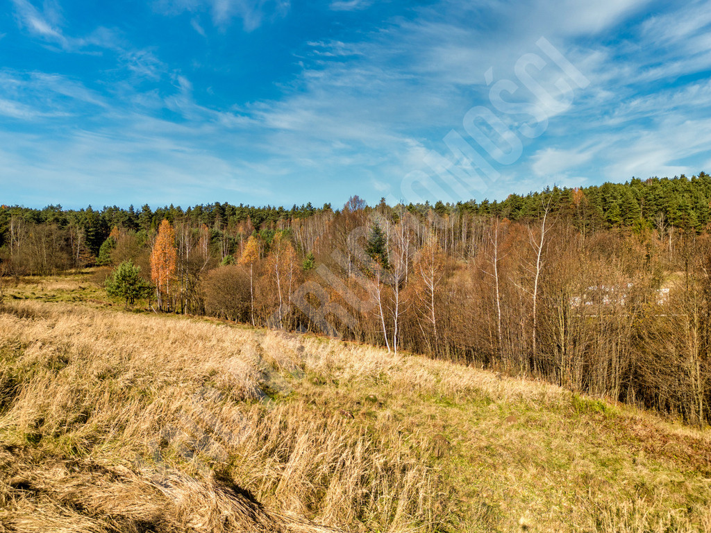Działka Sprzedaż Stryszawa