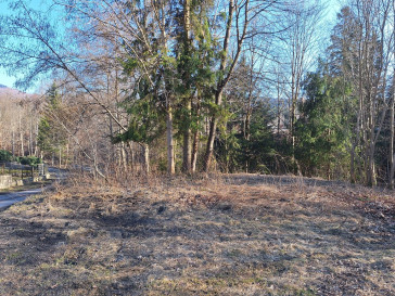 Działka Sprzedaż Zawoja