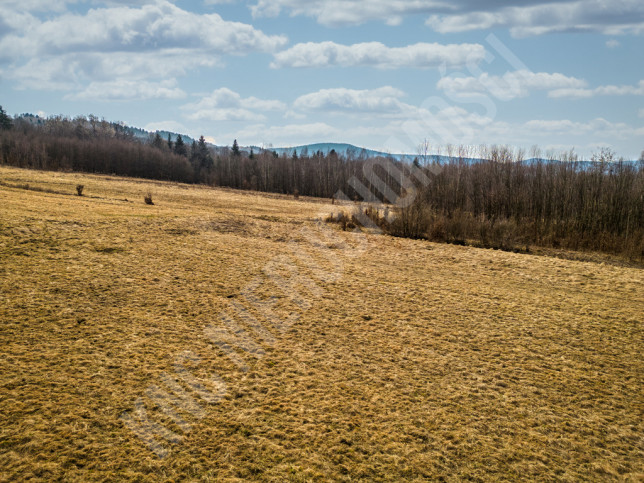 Działka Sprzedaż Budzów 9