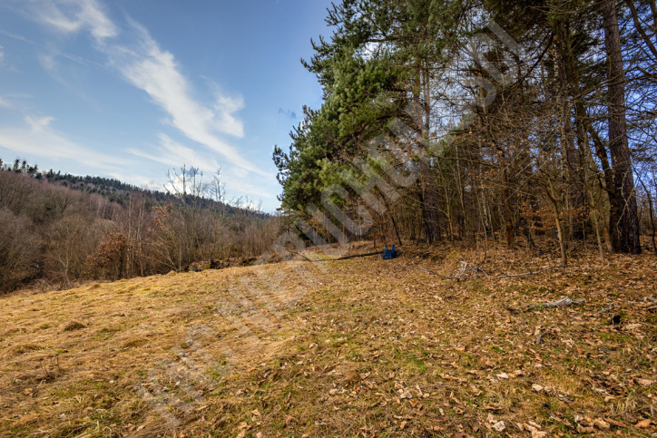 Działka Sprzedaż Krzeszów 5