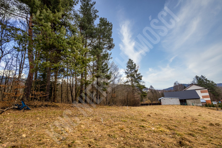 Działka Sprzedaż Krzeszów 6