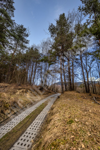 Działka Sprzedaż Krzeszów 10