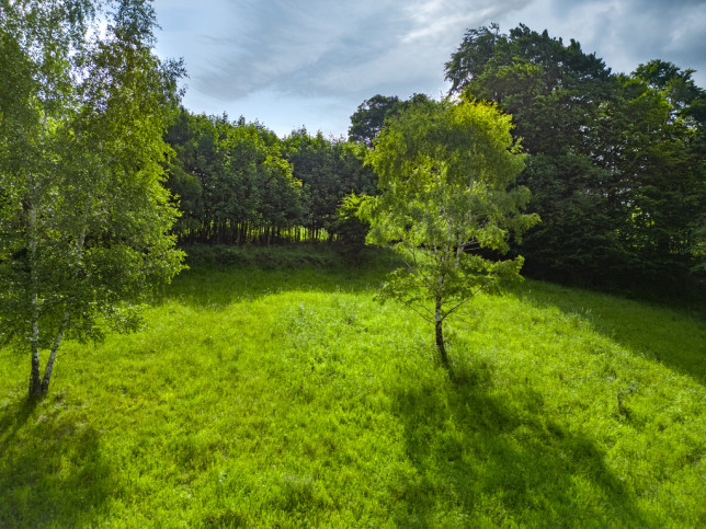 Działka Sprzedaż Stryszawa 6