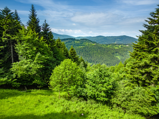 Działka Sprzedaż Stryszawa 8