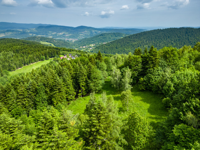 Działka Sprzedaż Stryszawa 9