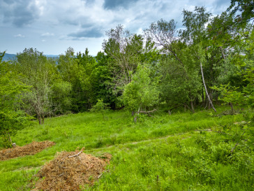 Działka Sprzedaż Stryszawa