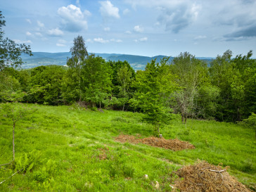 Działka Sprzedaż Stryszawa