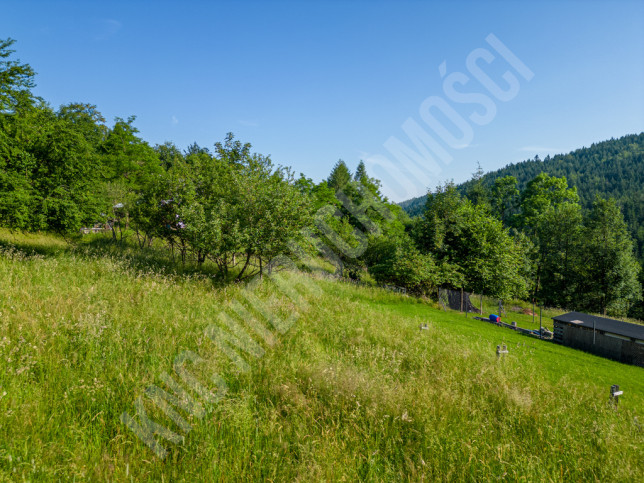 Działka Sprzedaż Zawoja 5