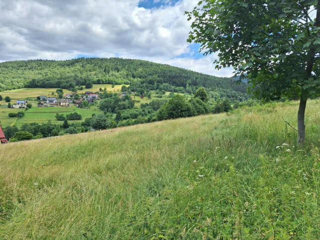Działka Sprzedaż Stryszawa 7