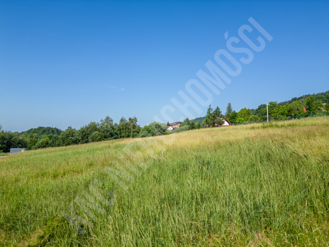 Działka Sprzedaż Stryszawa 11