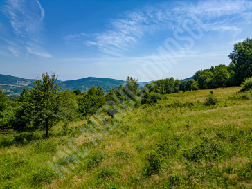 Działka Sprzedaż Stryszawa
