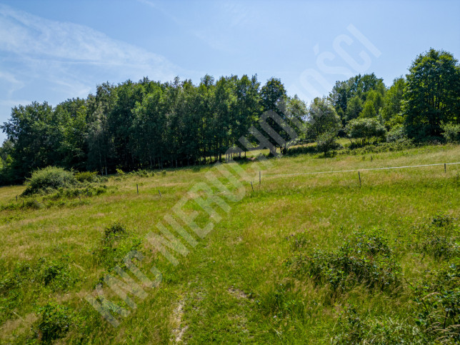 Działka Sprzedaż Stryszawa 4