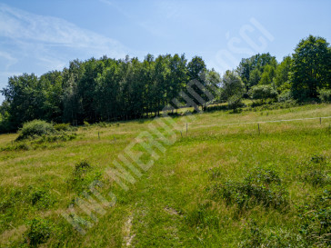 Działka Sprzedaż Stryszawa