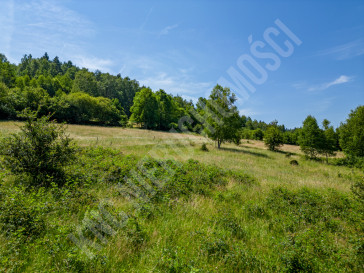 Działka Sprzedaż Stryszawa