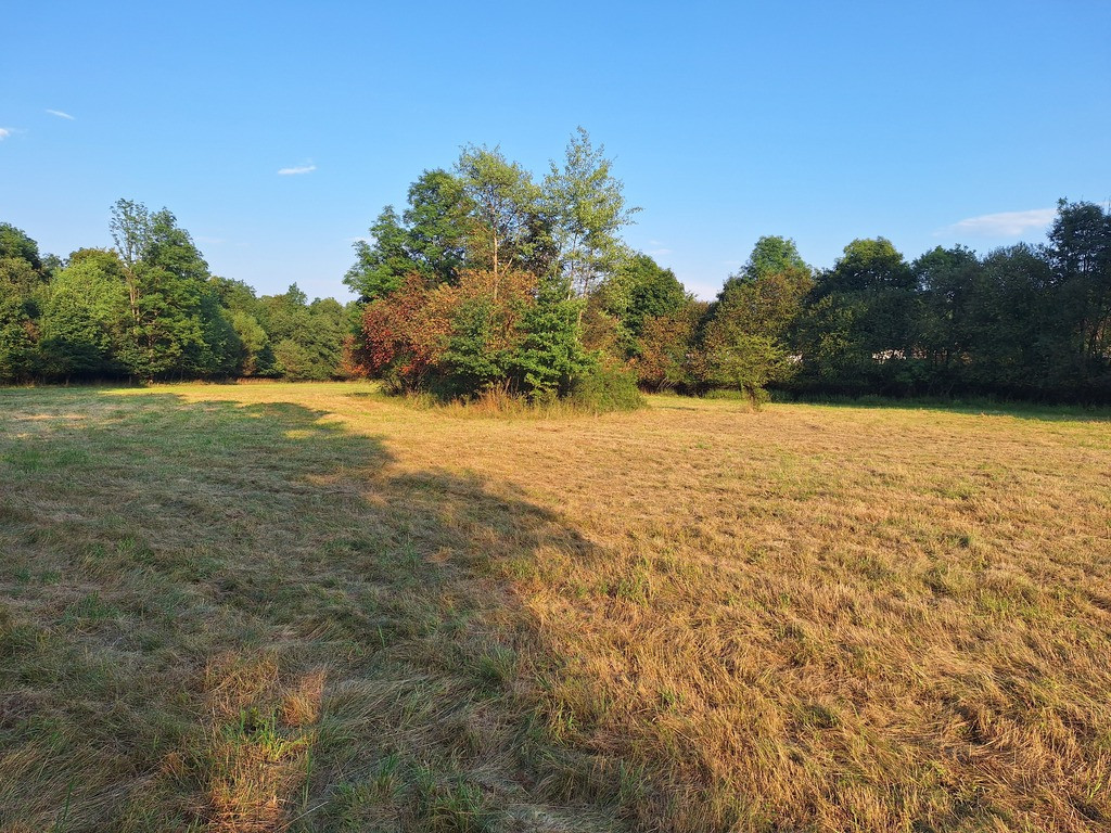 Działka Sprzedaż Stryszawa