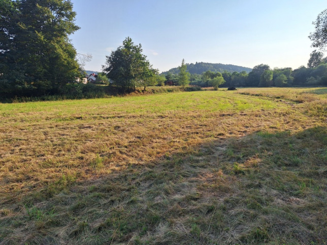 Działka Sprzedaż Stryszawa 3