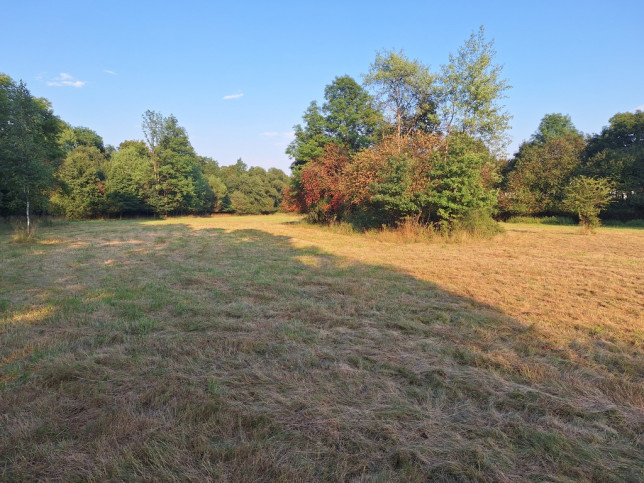 Działka Sprzedaż Stryszawa 4