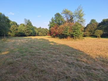 Działka Sprzedaż Stryszawa