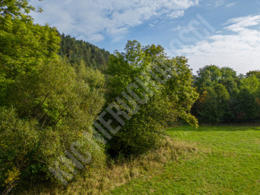 Działka Sprzedaż Stryszawa