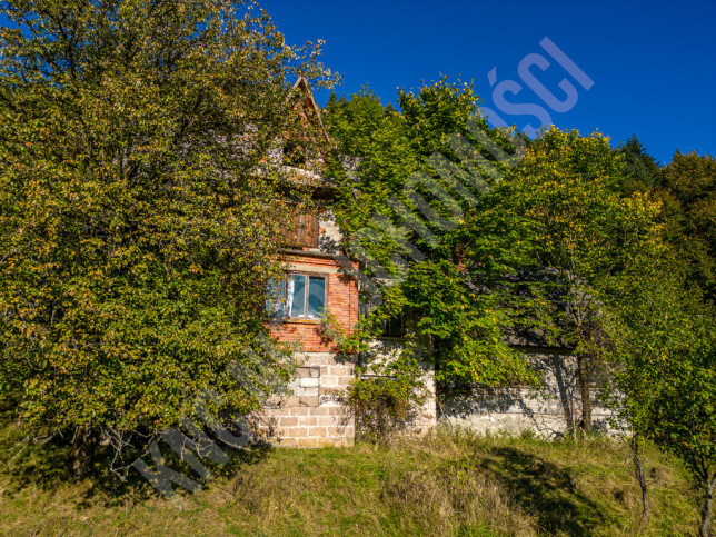 Dom Sprzedaż Zawoja 5