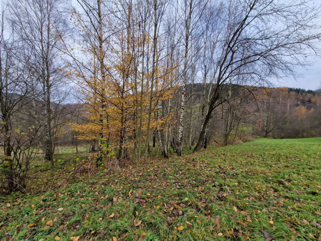 Działka Sprzedaż Stryszawa 2